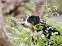 IMG_3103-scaled
