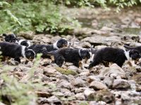 IMG_3116-scaled