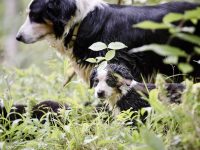 IMG_3150-scaled