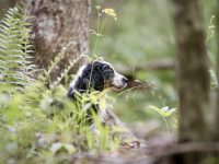 IMG_3152-scaled