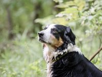 IMG_3181-scaled