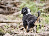 IMG_3200-scaled