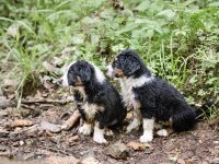 IMG_3219-scaled