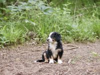 IMG_3223-scaled