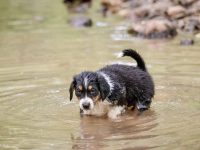 IMG_3226-scaled