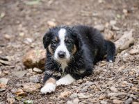 IMG_3242-scaled