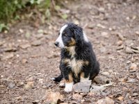 IMG_3252-scaled