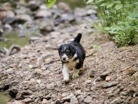 IMG_3257-scaled