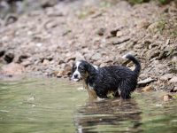 IMG_3265-scaled